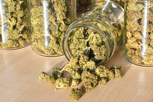 Unleashing the Green Gourmet: Cannabis Cuisine – Pantry Staples for the Budding Cannabis Chef