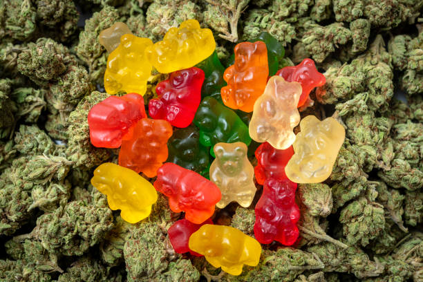 Potency of Cannabis Edibles