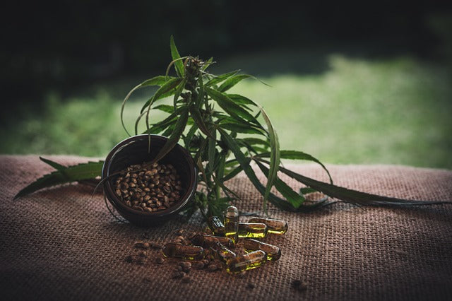Preserving the Plant: The Importance of Sustainable Cannabis Flower Farming