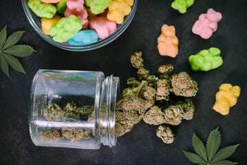 Cannabis in the Kitchen: DIY Guide for Homemade Edibles