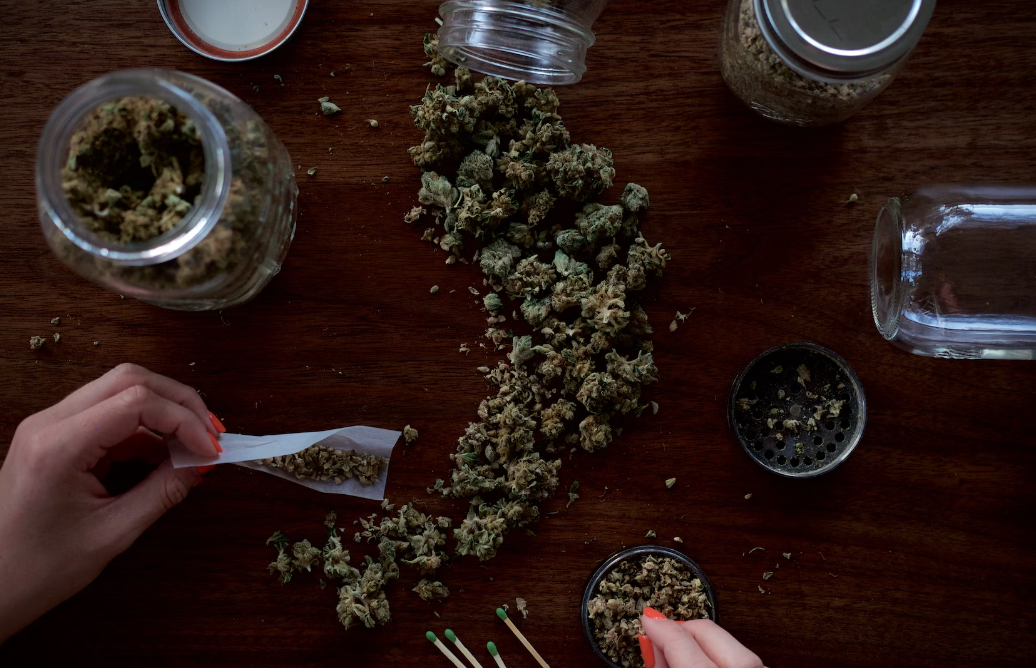 Unlock the Power of Plants: Your Complete Handbook on Cannabis Tinctures