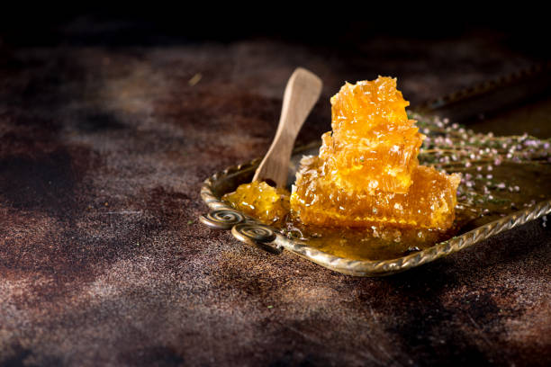 The Extraction Equation: How Cannabis Concentrates Are Made