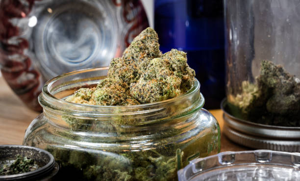 The Green Pantry: A Comprehensive Look at Storing Cannabis Edibles