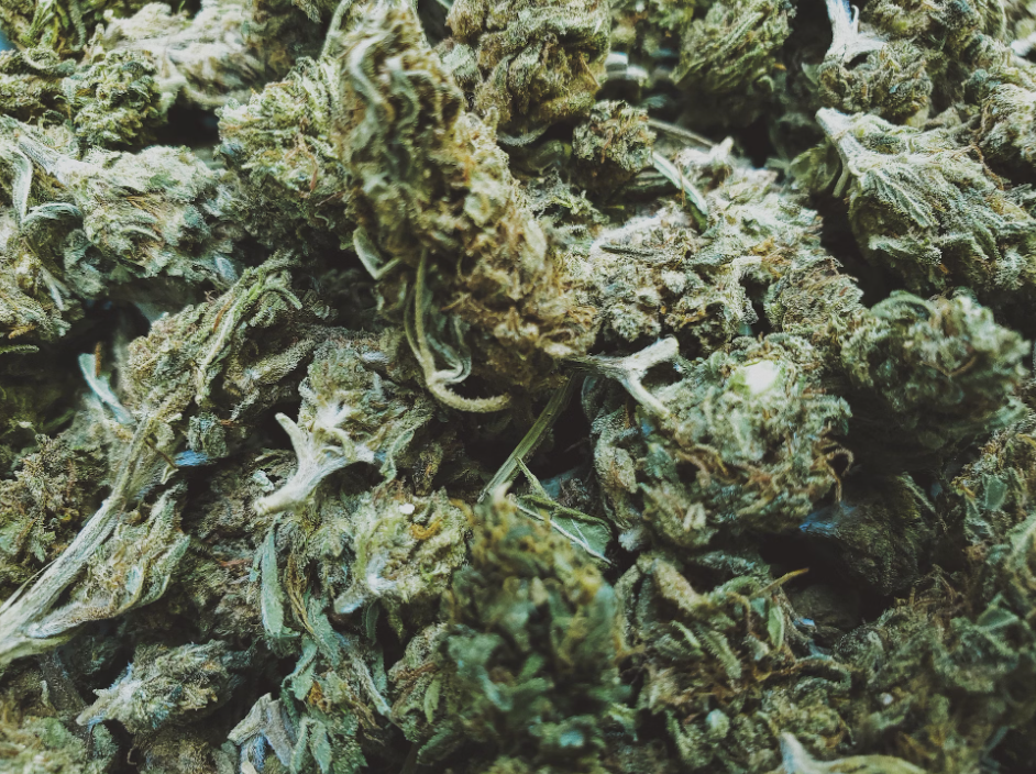 Unlock The Secrets of Cannabis Resin 101: Everything You Need to Know