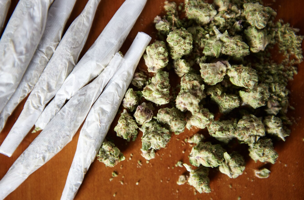 Unlocking the Mystery: What Is the Entourage Effect? - Your Ultimate Guide