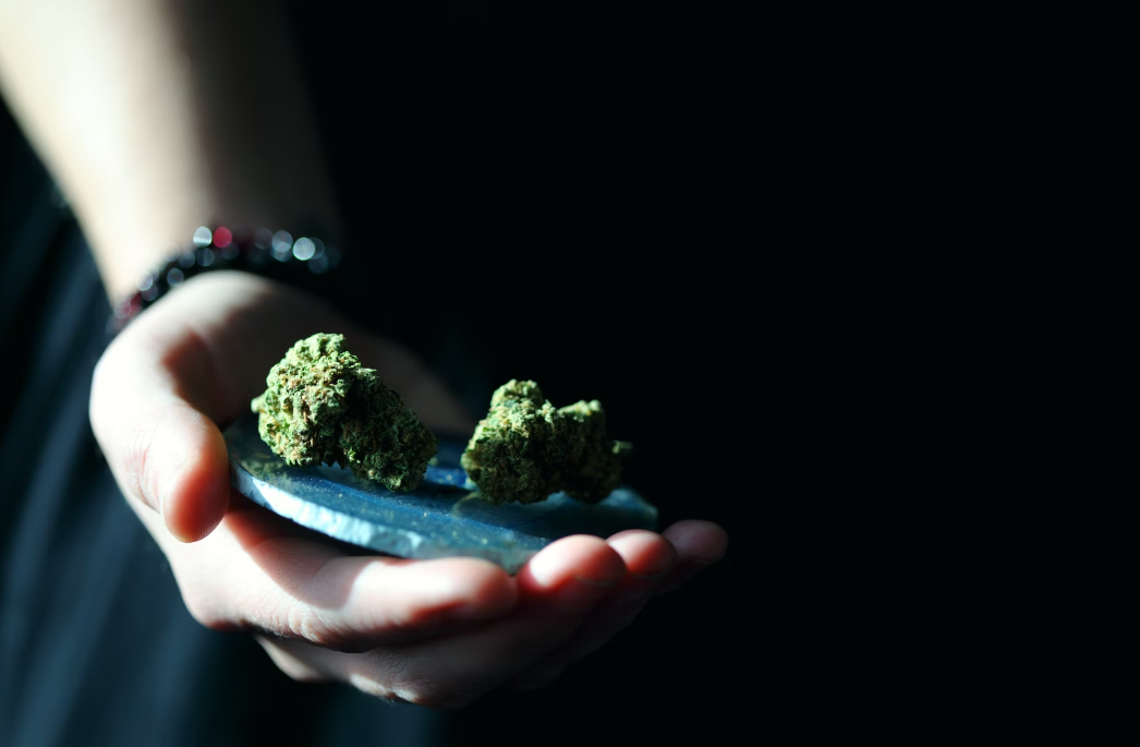 The 10 Untold Secrets: How Long Does Weed Stay Fresh?