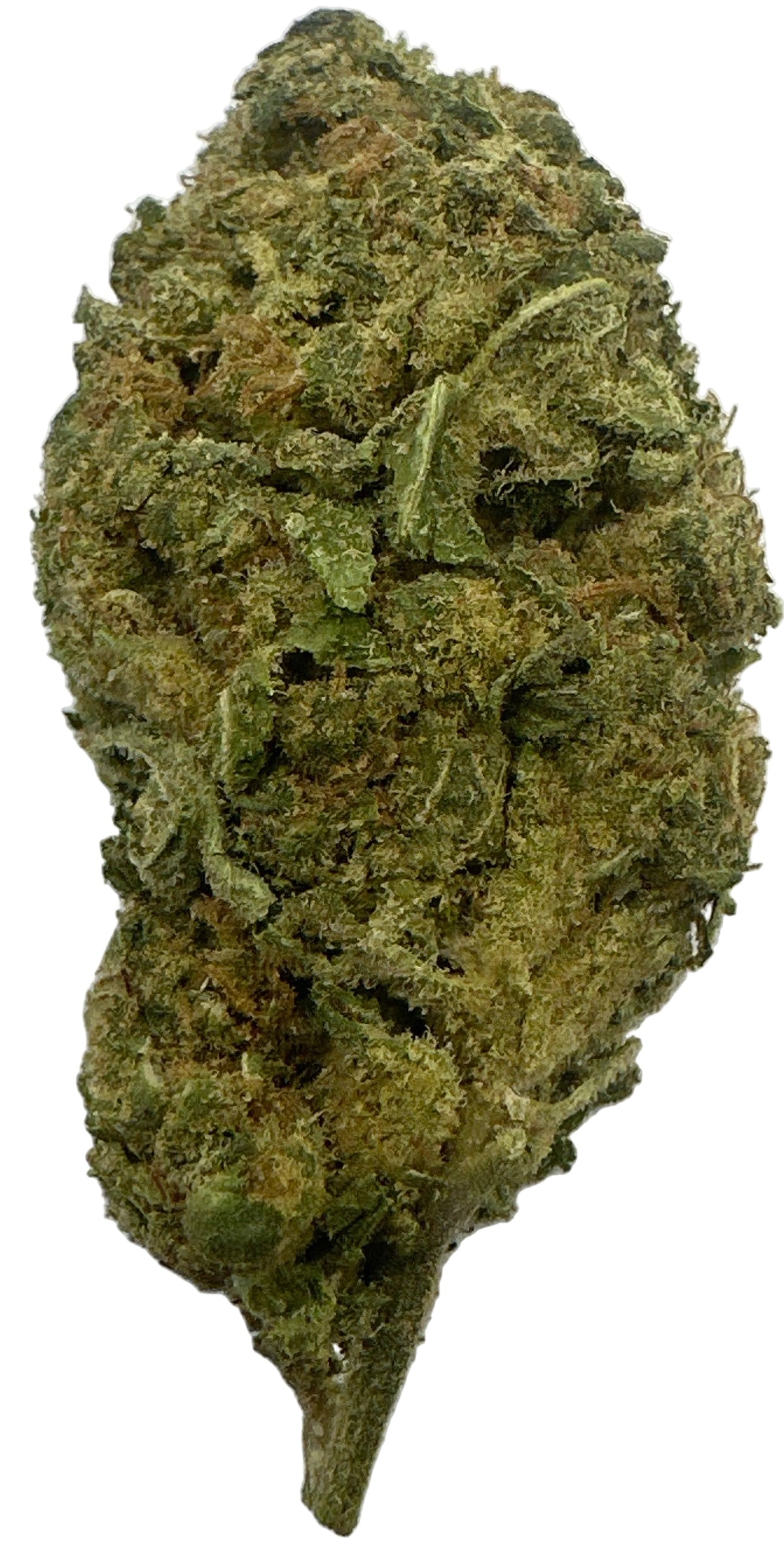 White Russian(Hybrid/Sativa)