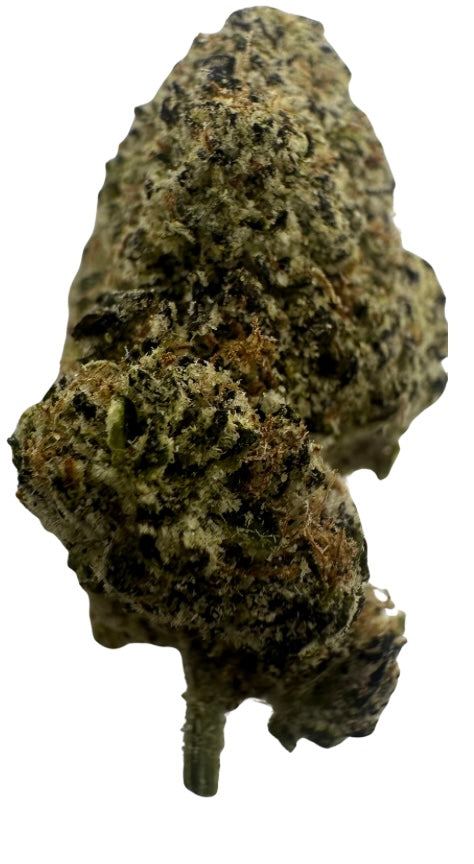 Torpedo (Hybrid/Indica)