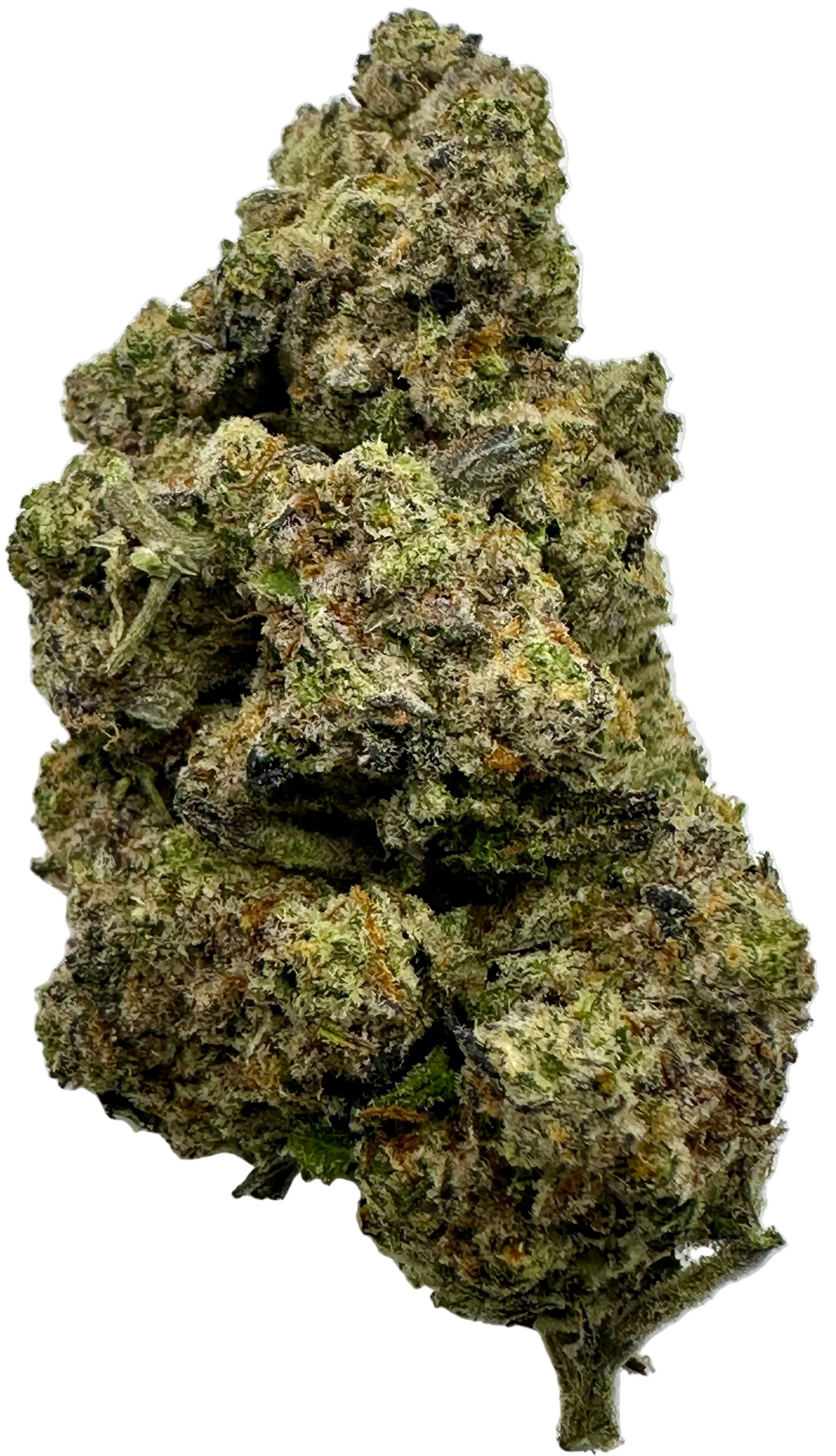 Mochi (Hybrid/50-50)