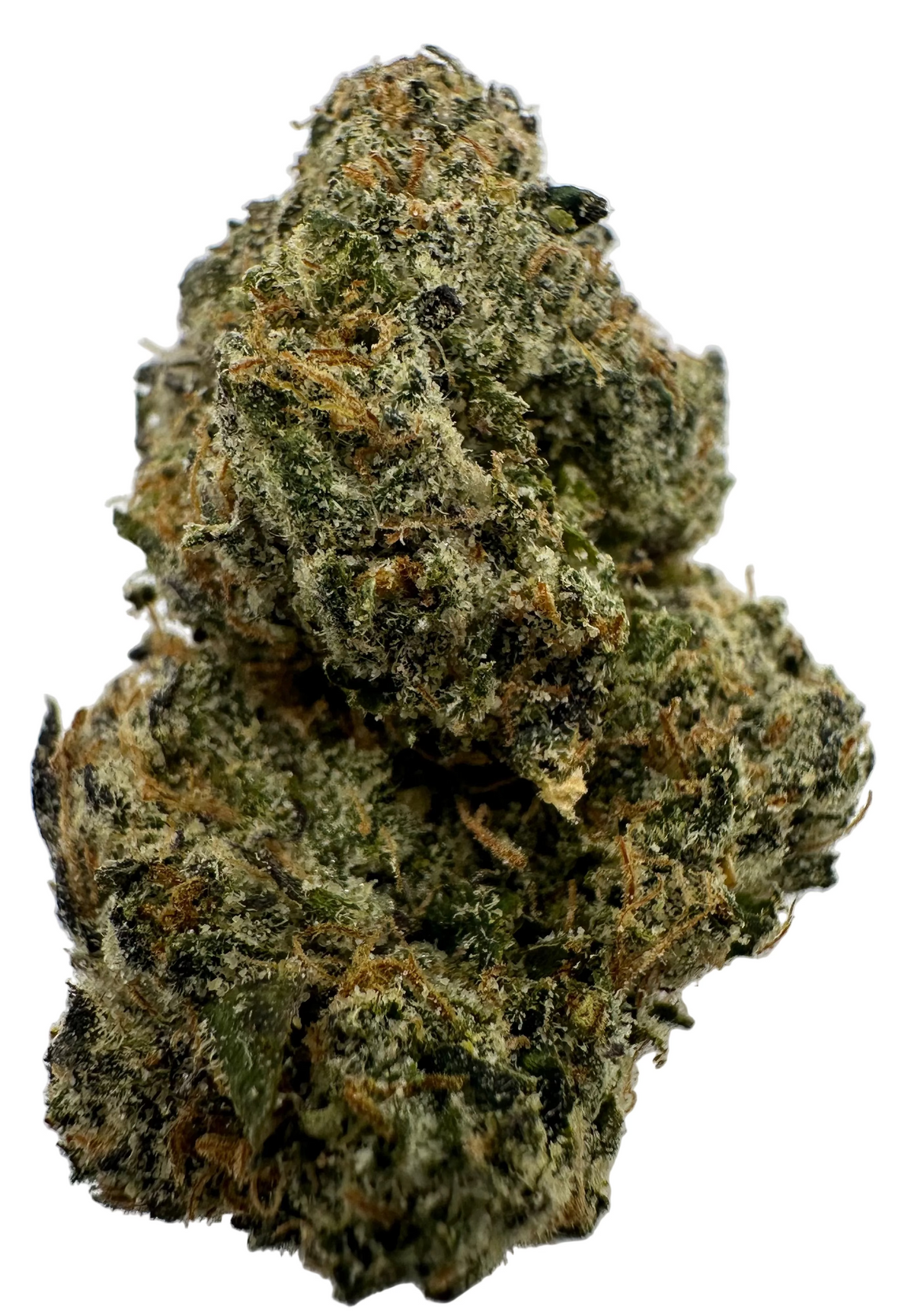 Strawberry Gushers (Hybrid/50-50)
