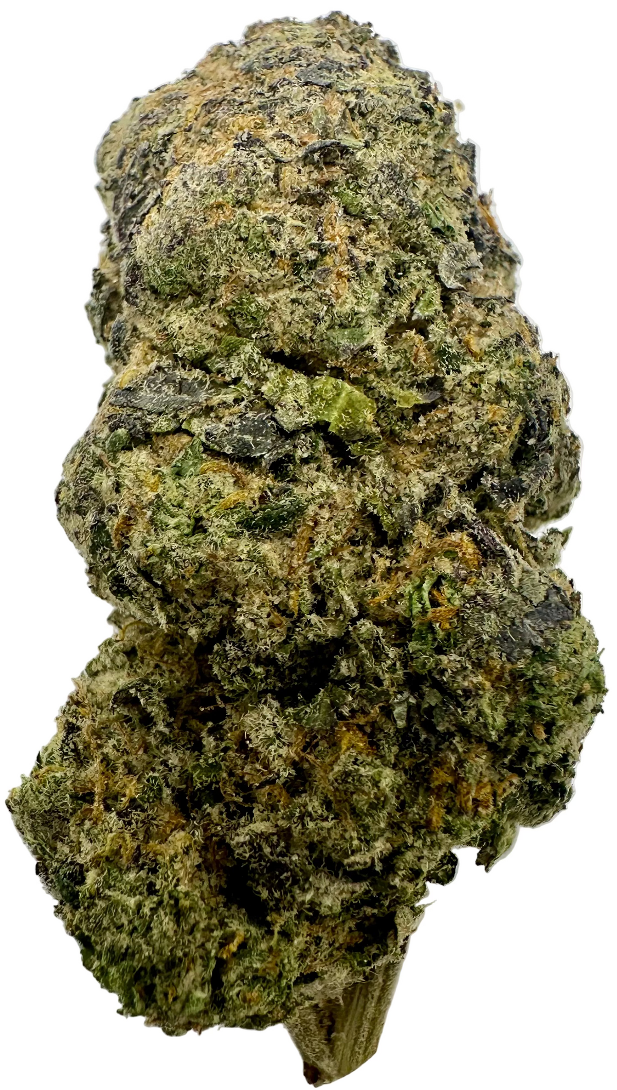 Thin Mint (Hybrid)