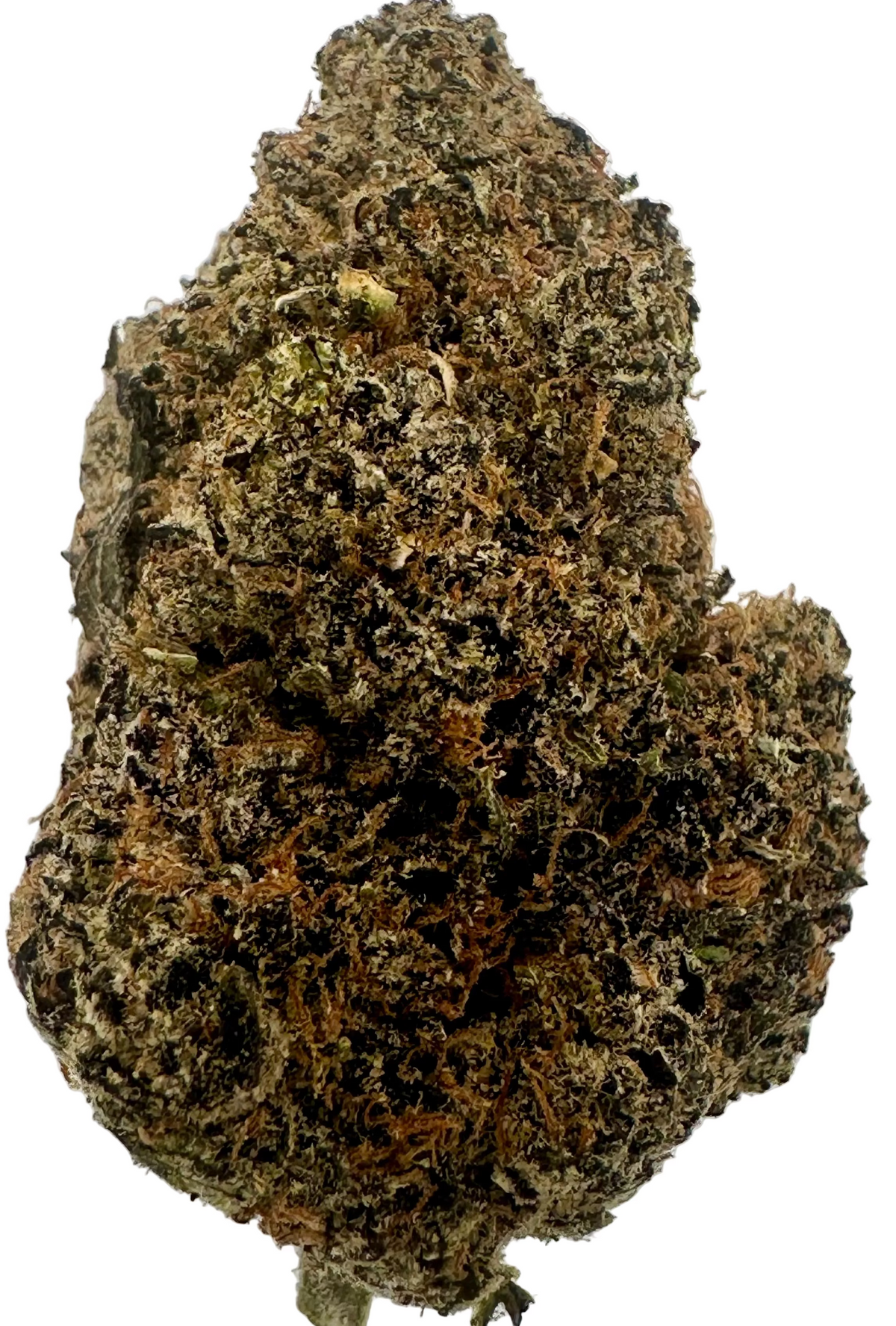 Lemon Cherry Gelato (Hybrid)