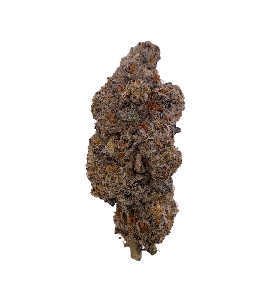 Mochi Gelato : Hybrid