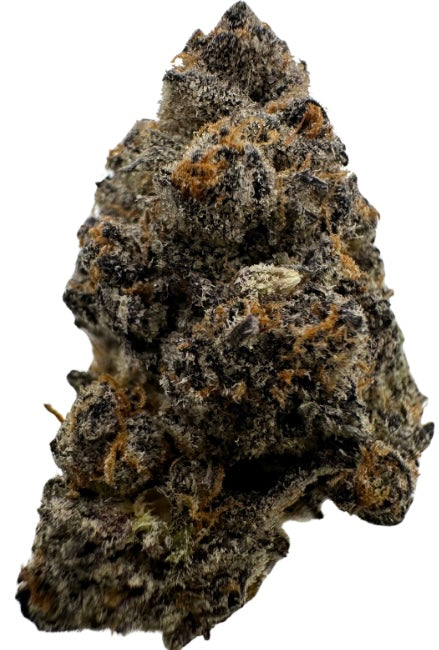 Hooch (Hybrid/Indica)