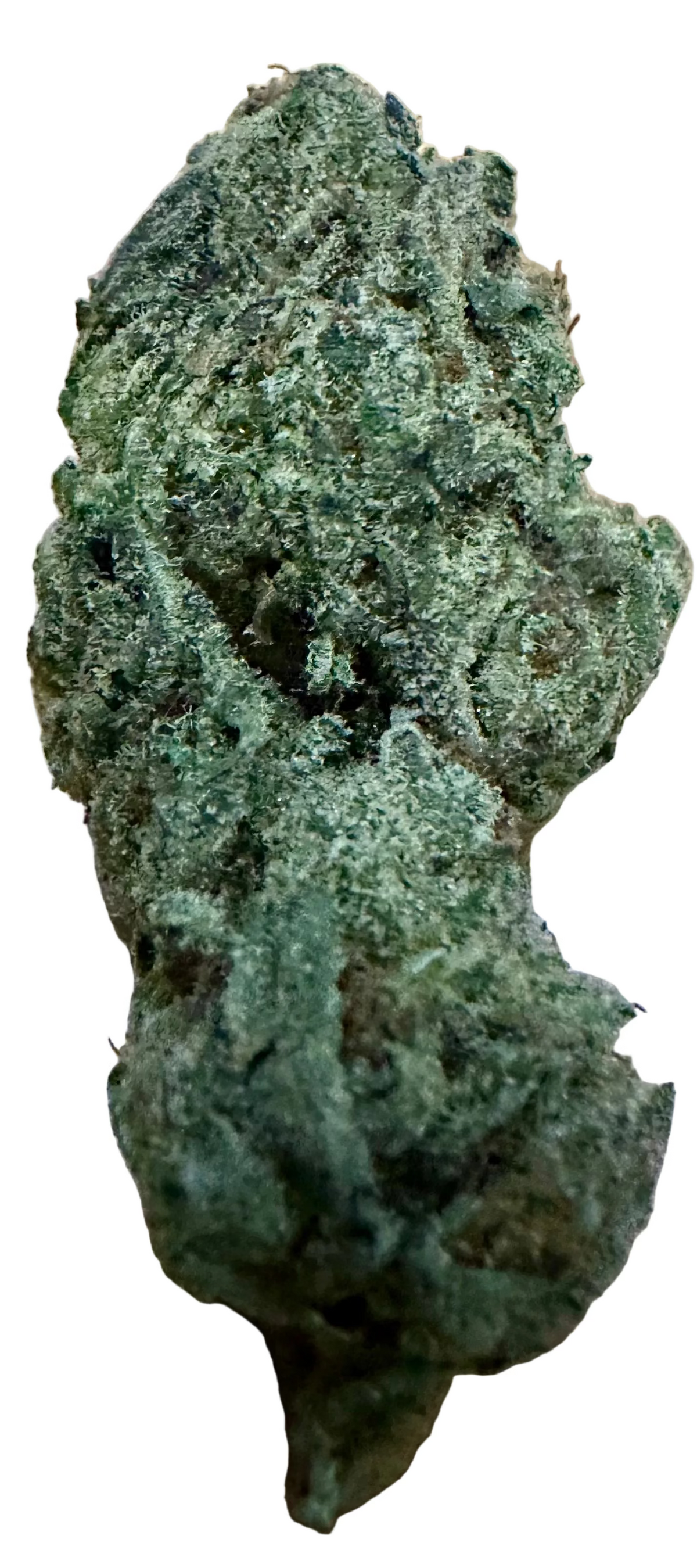 London Pound Cake (Hybrid/Indica)