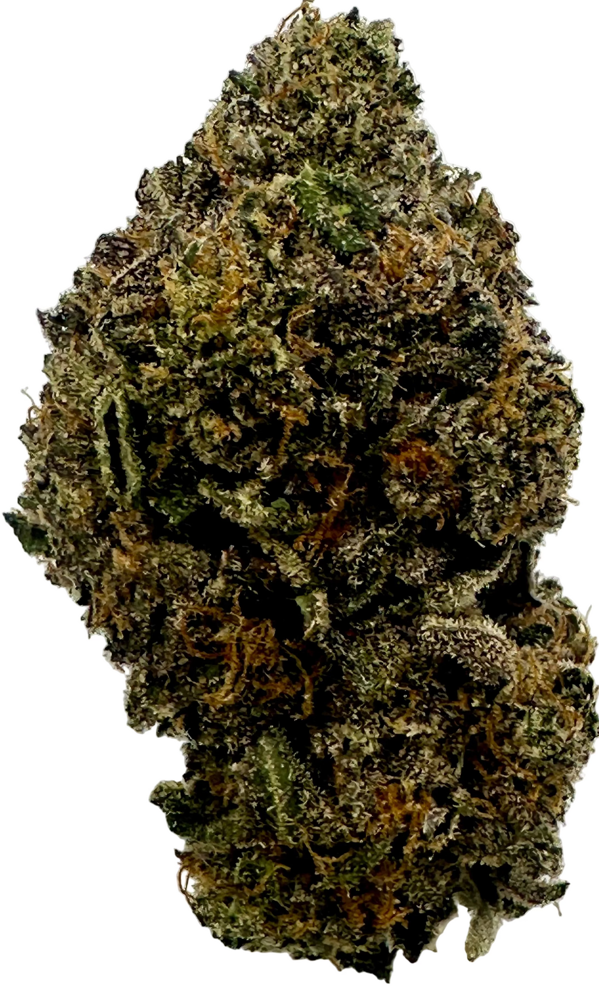 Purple Poison (Hybrid/Sativa)