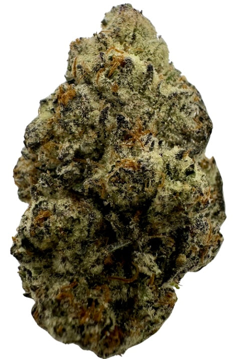 Blaze (Sativa)