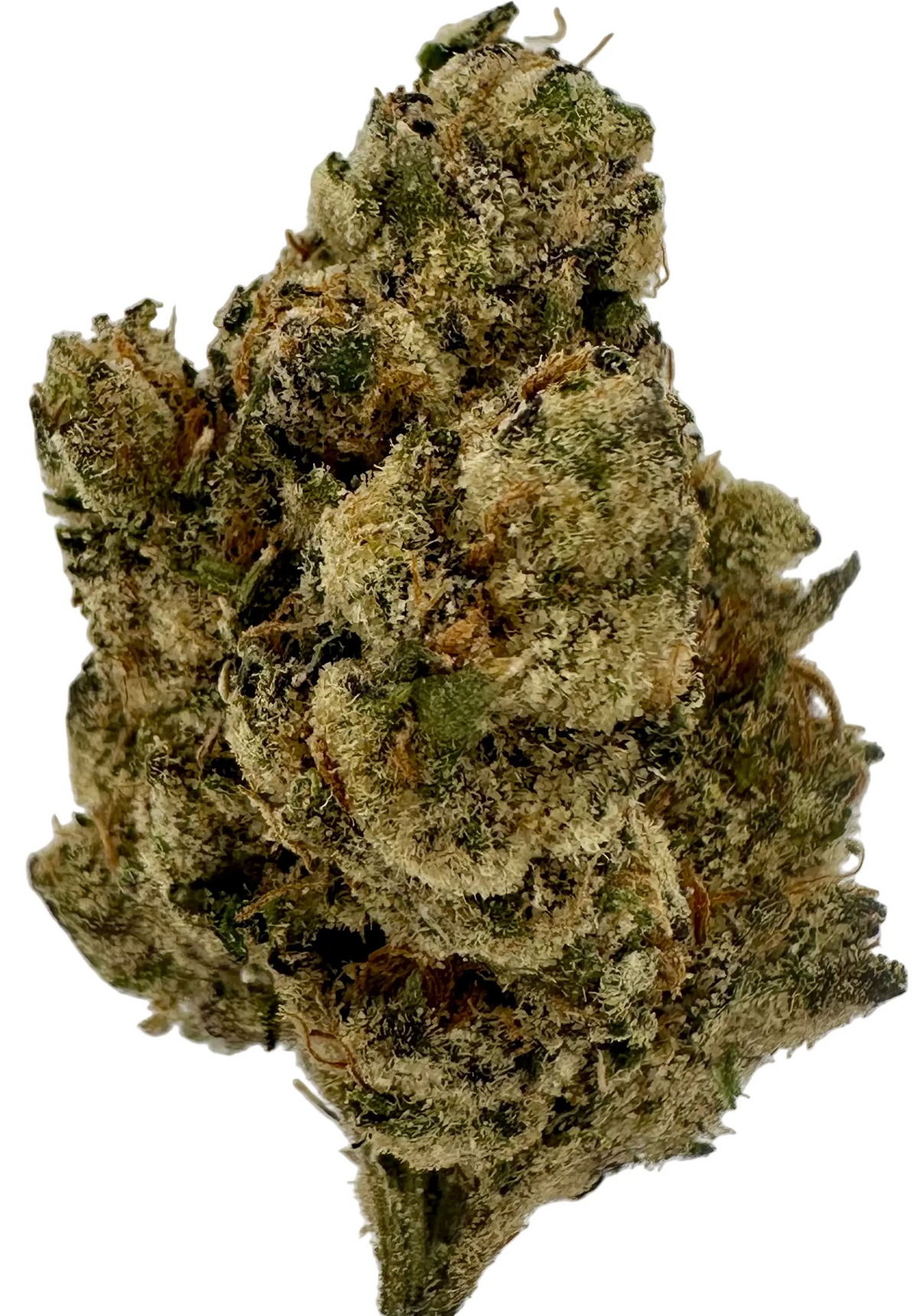 Sugar Rush (Hybrid/50-50)