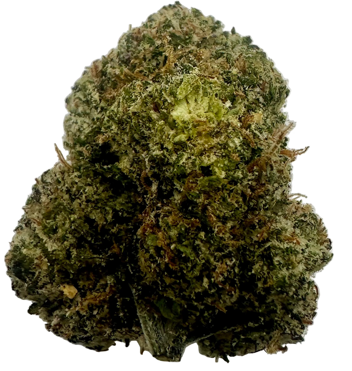 Coochie Runtz (Hybrid/Indica)