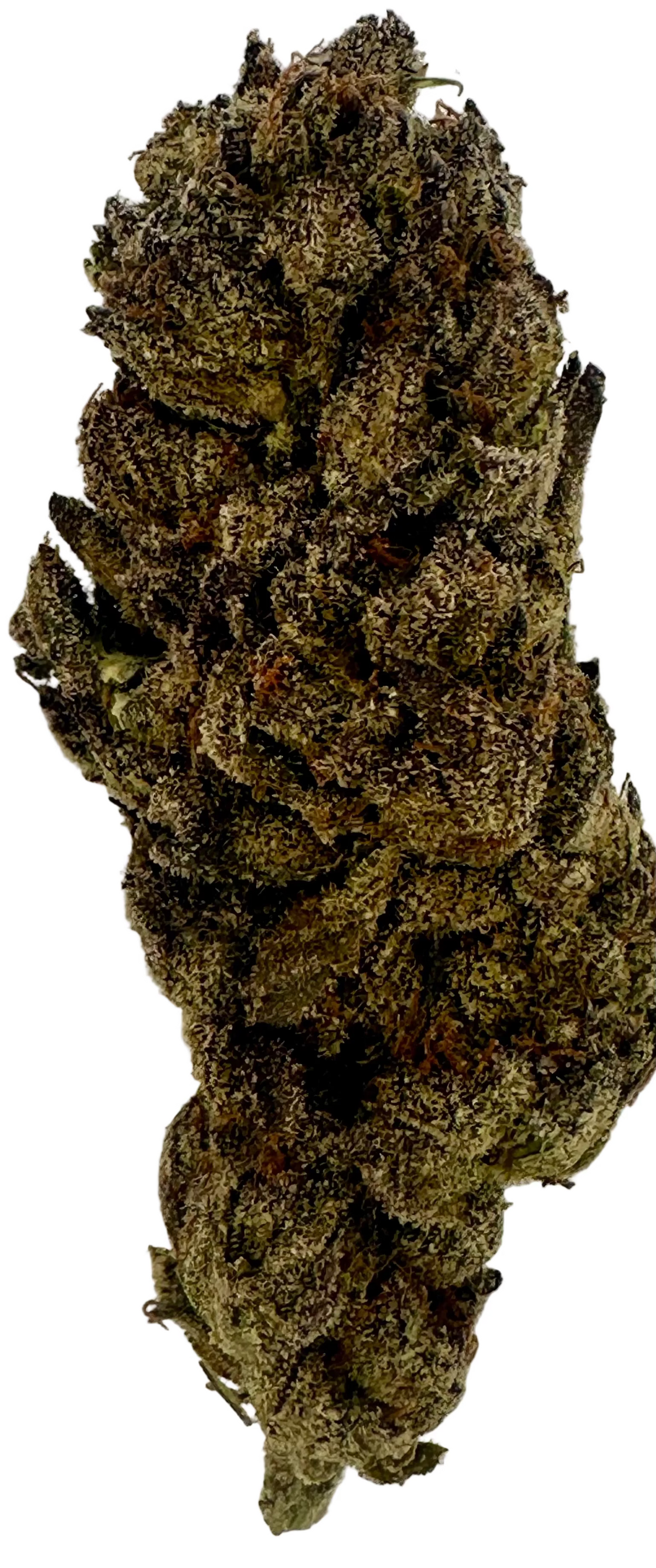 Spritzer (Hybrid/50-50)