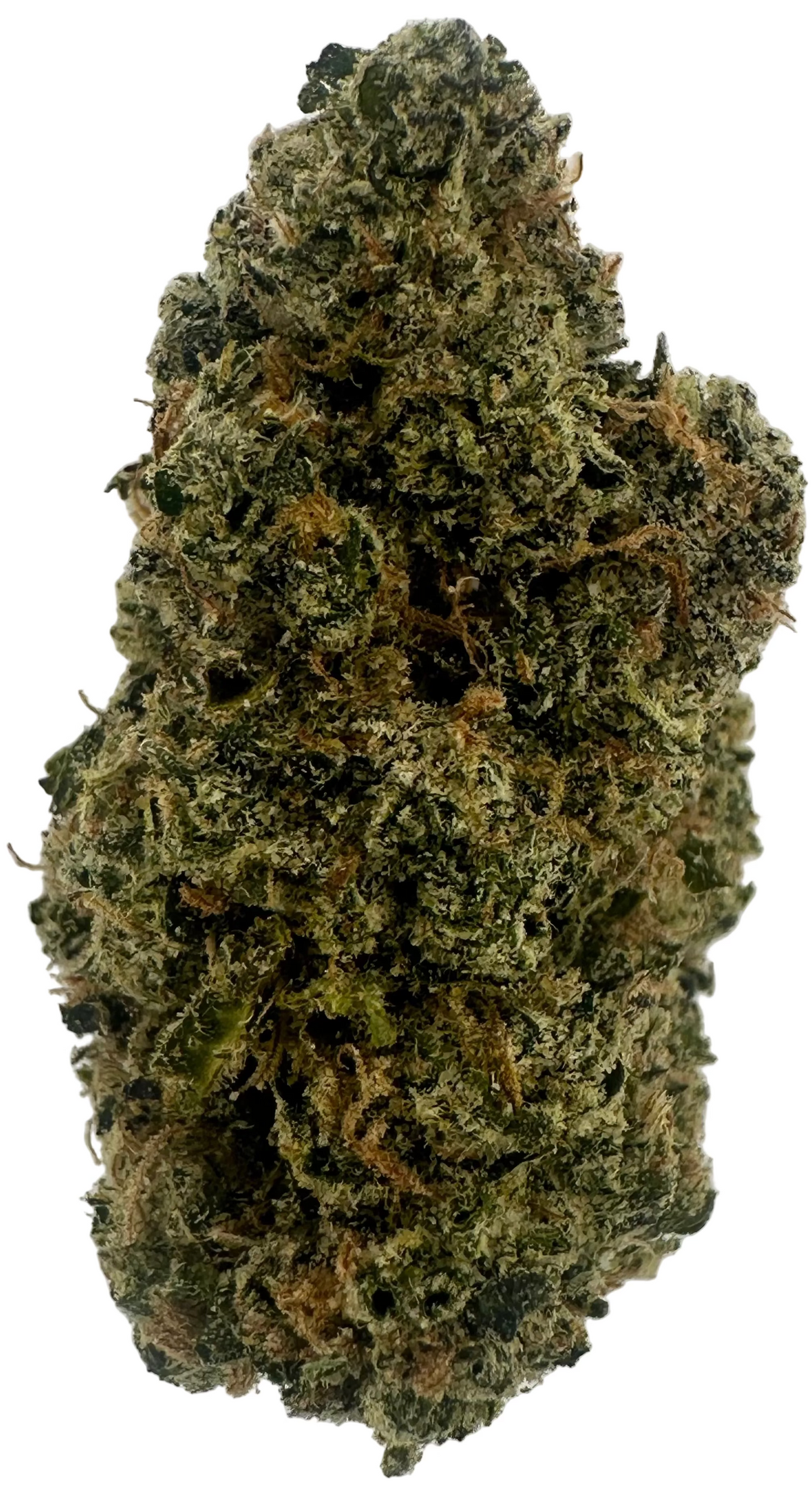 Bubblegum (Hybrid/Indica)