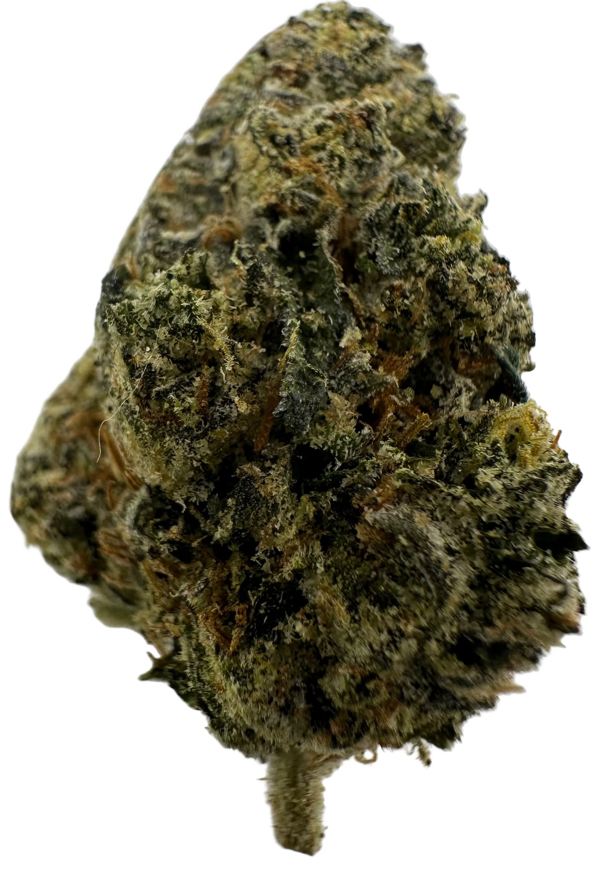 Lemon Cherry Zkittles (Hybrid/50-50)