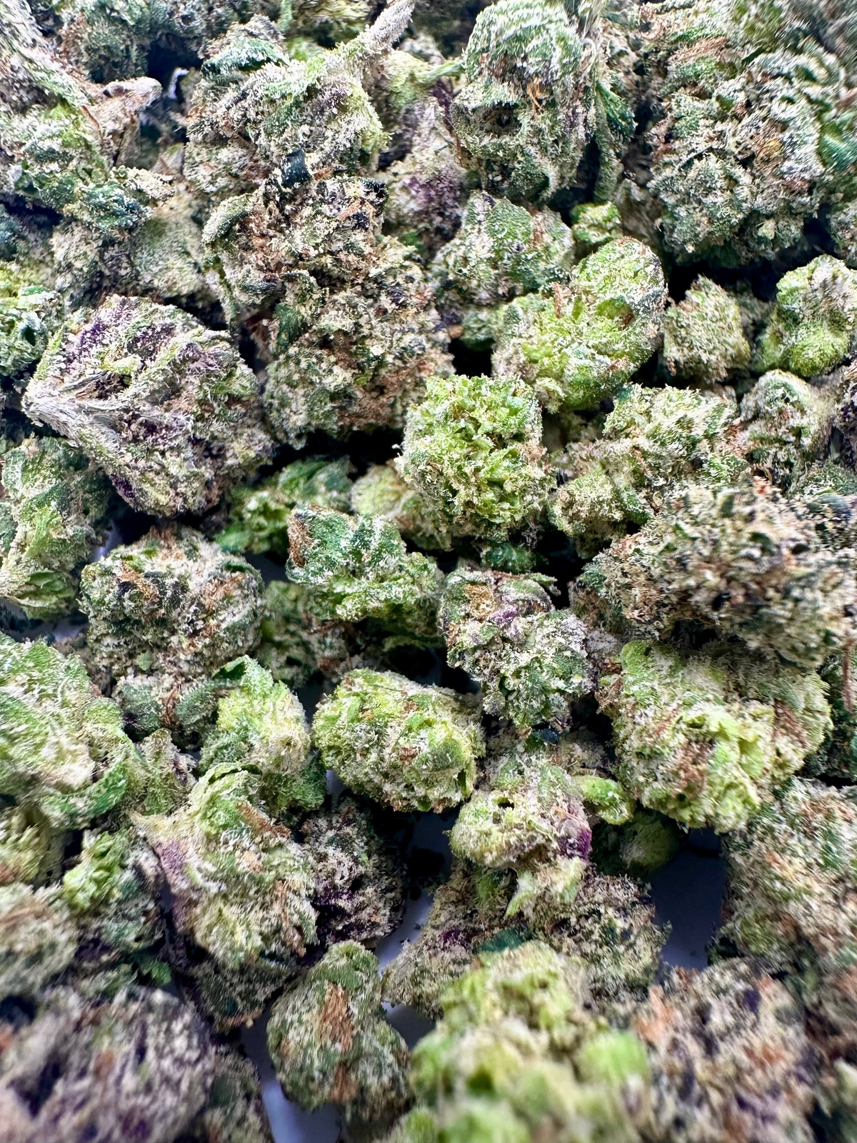Gumbo (Hybird/Indica)- small buds