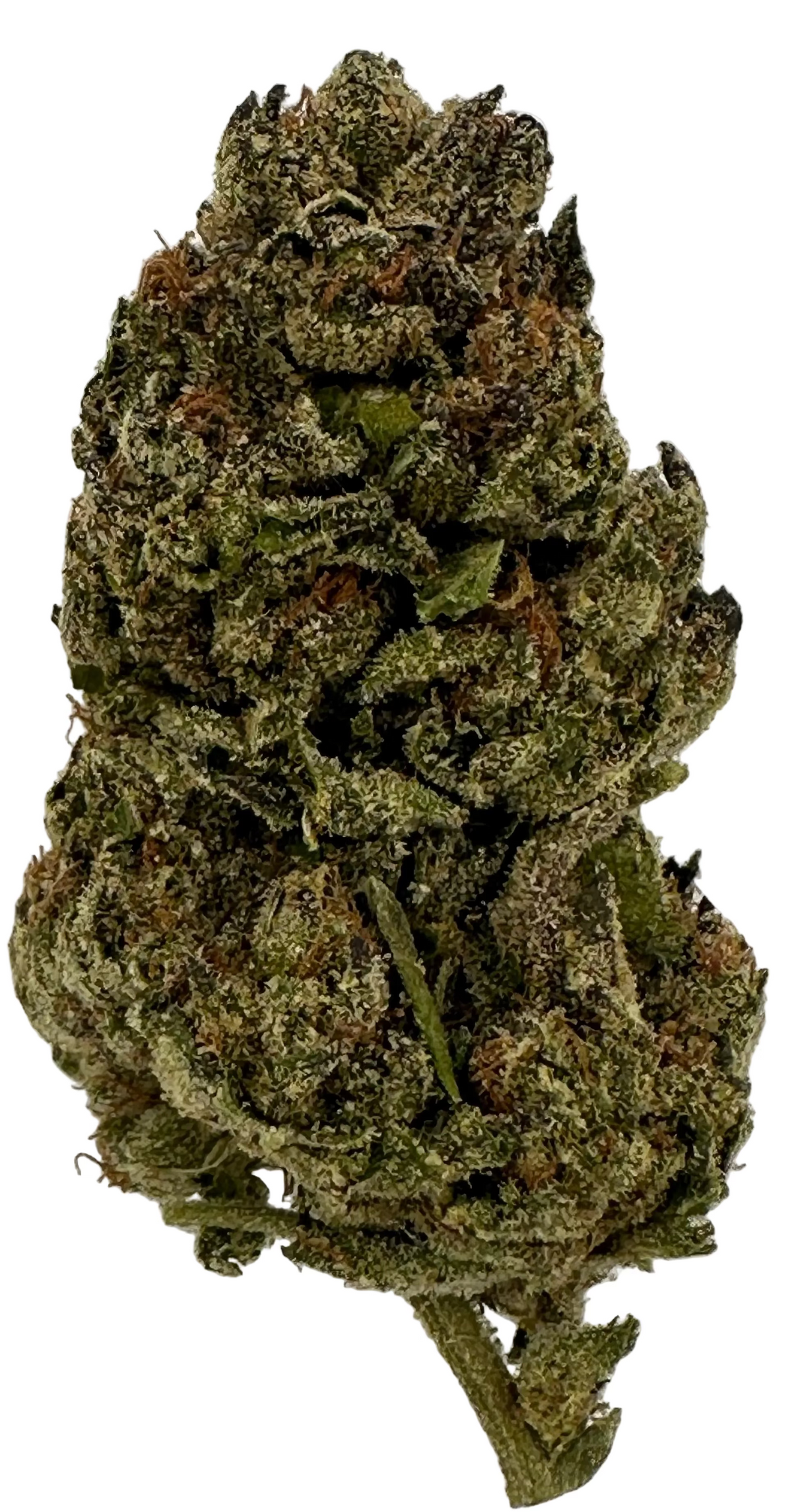 London Pound Cake (Hybrid/Indica)