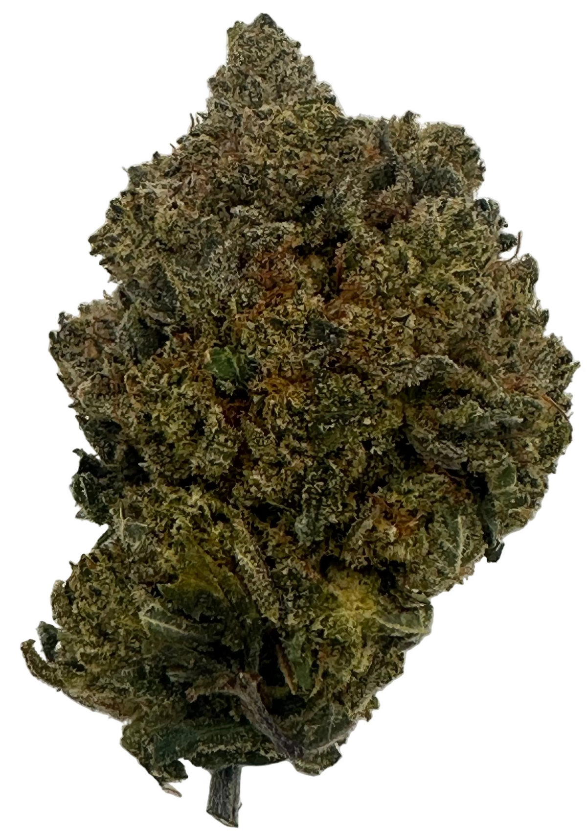 Gorilla Glue #4 (Hybrid/Indica)