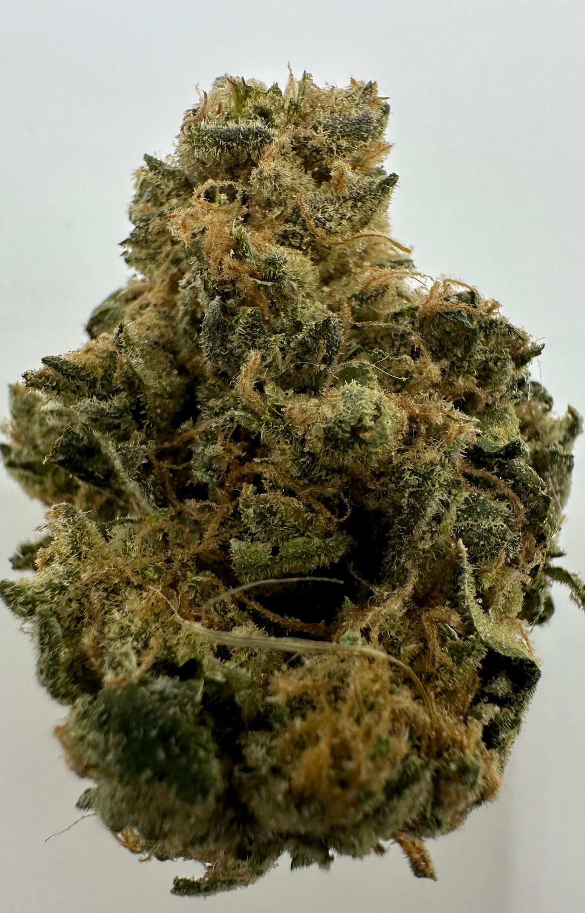 Rainbow Guava