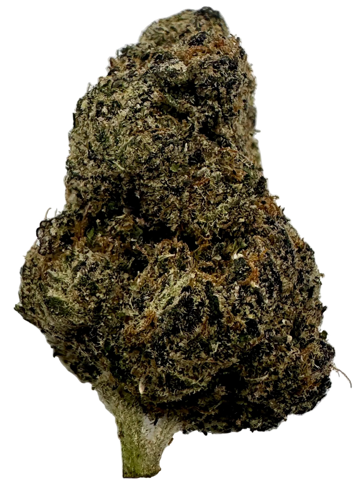 Blue Steel (Hybrid/Indica)
