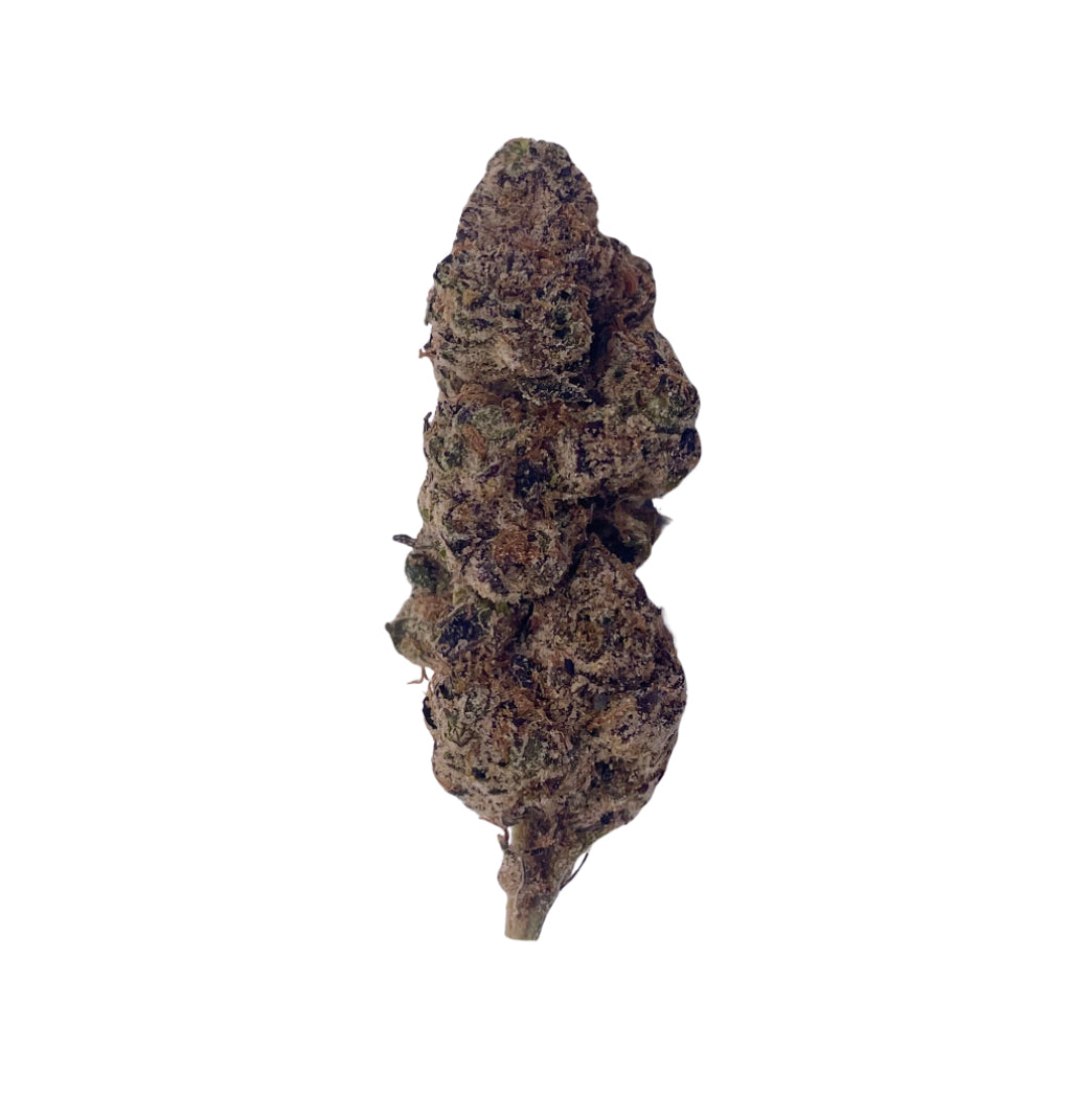 Lemon Cherry Gelato (Hybrid)