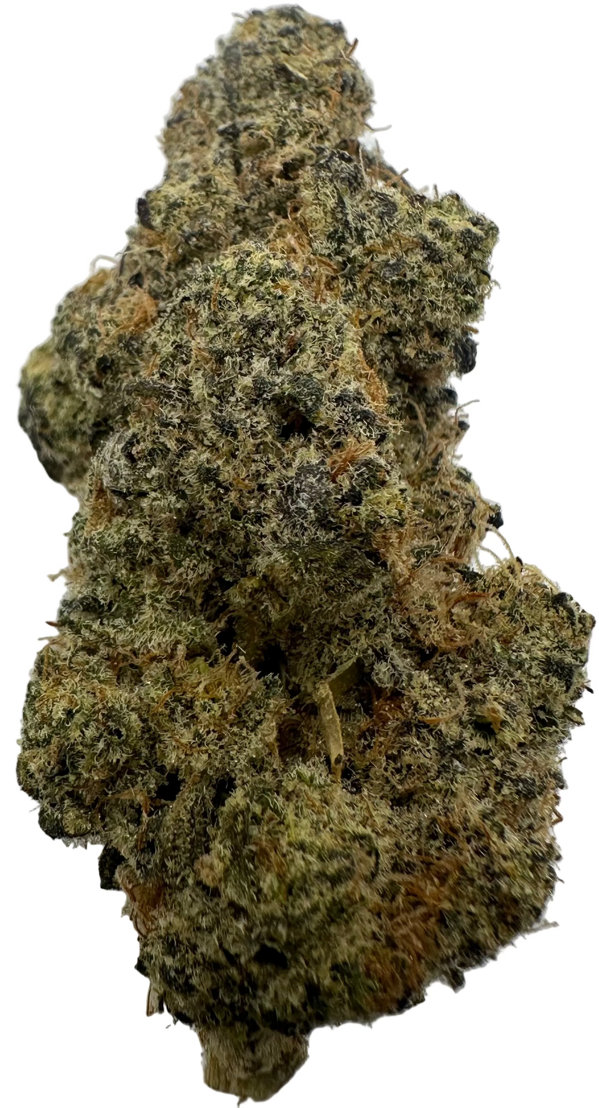 Cobra Cabana (Hybrid/Indica)