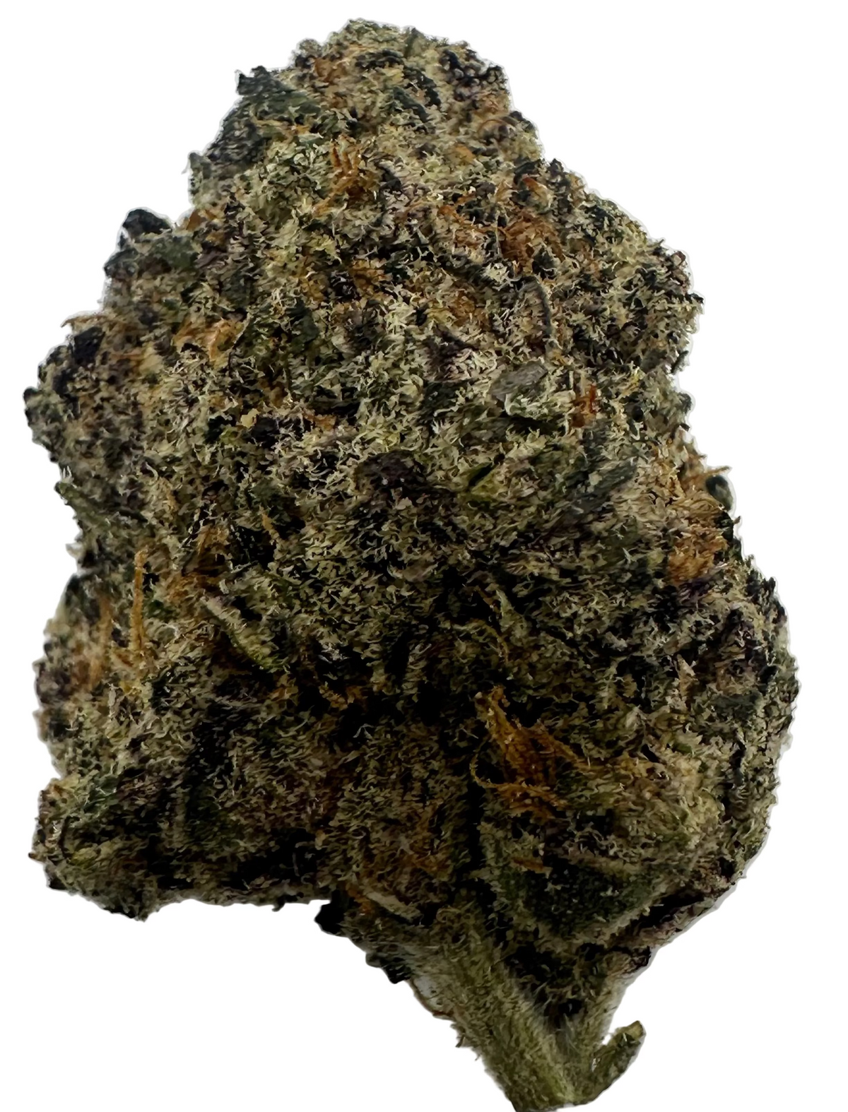 Candy Paint (Hybrid/50-50)